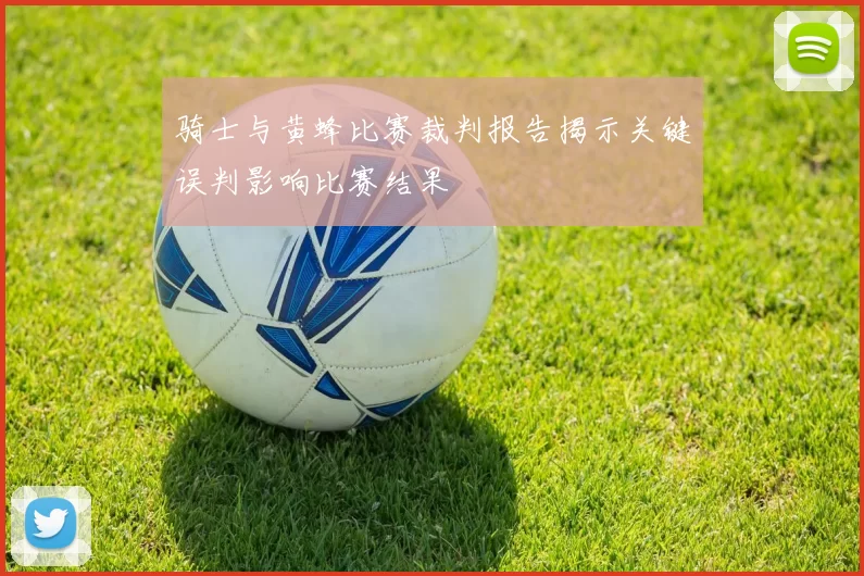 骑士与黄蜂比赛裁判报告揭示关键误判影响比赛结果