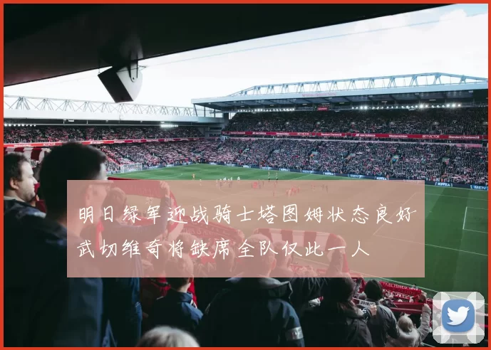 明日绿军迎战骑士塔图姆状态良好武切维奇将缺席全队仅此一人