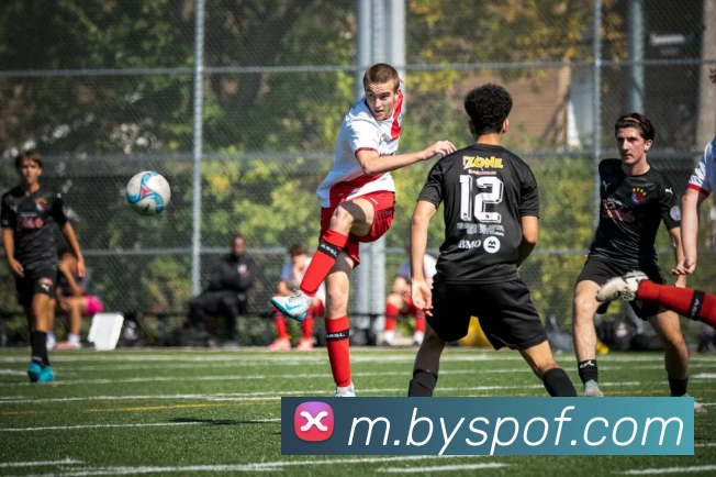 必赢体育APP 封面图